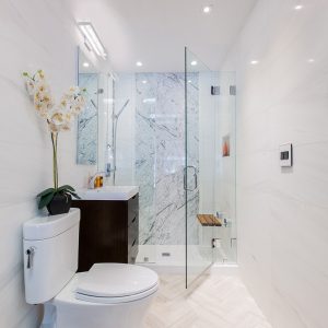 Showroom Bathroom