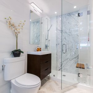 Showroom Bathroom